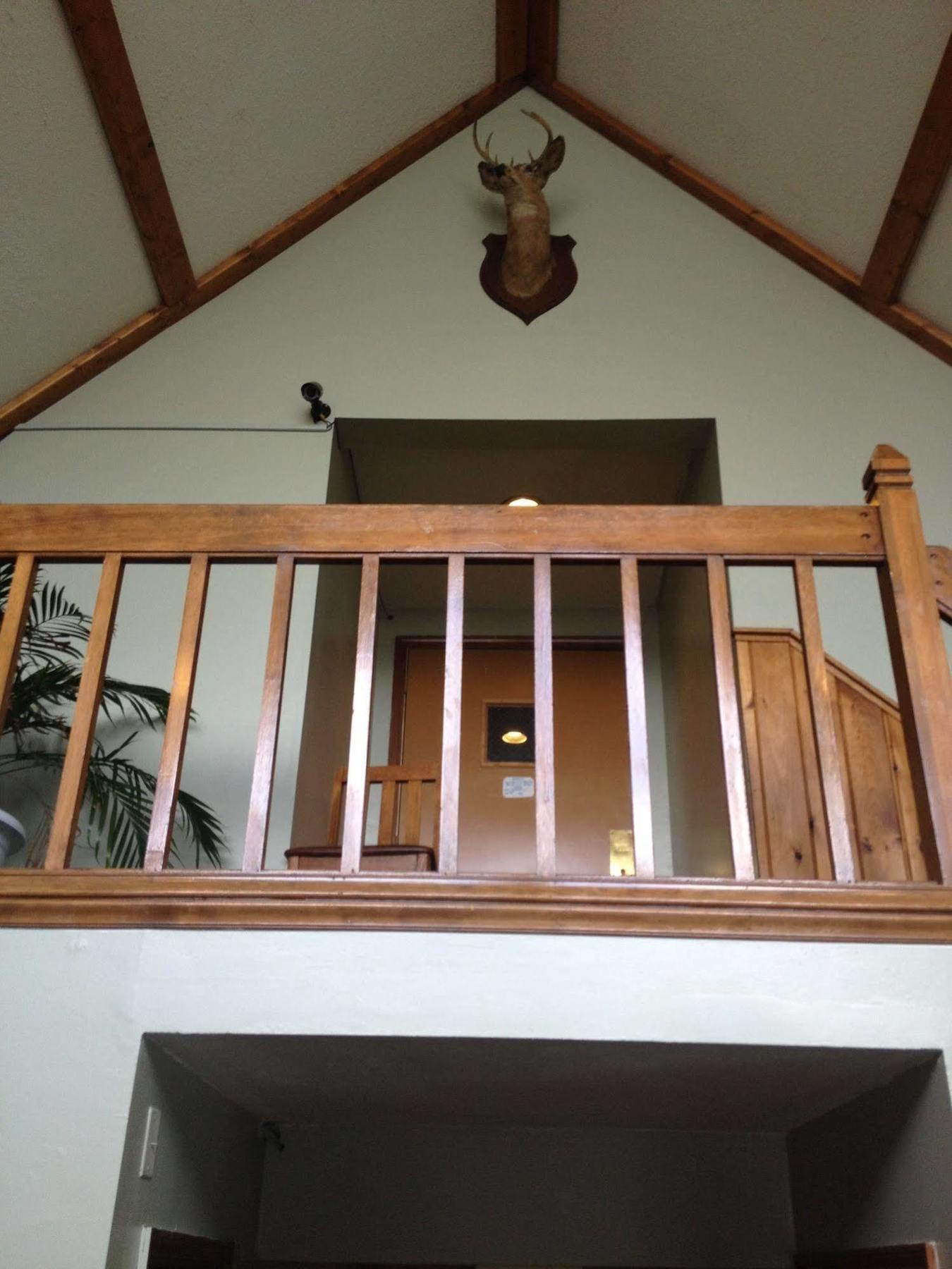 查菲山林小屋 Chaffee 外观 照片